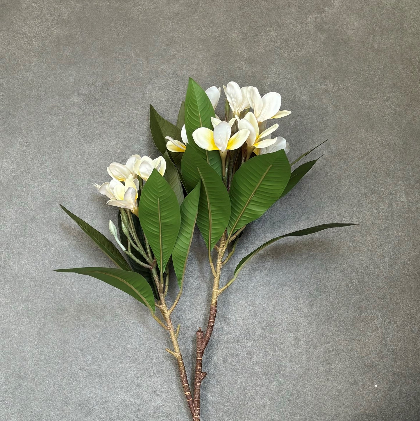 Artificial Frangipani Stem - White