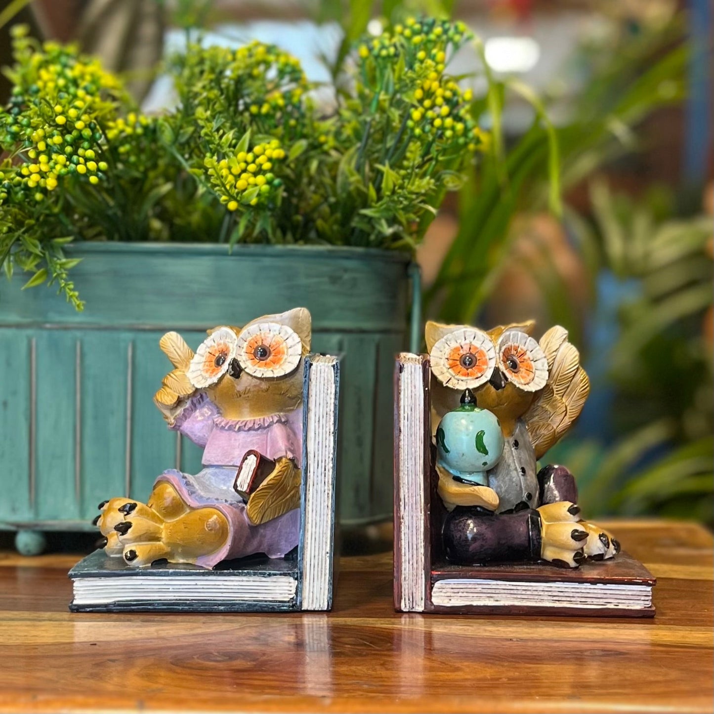 Cute Owl Bookend