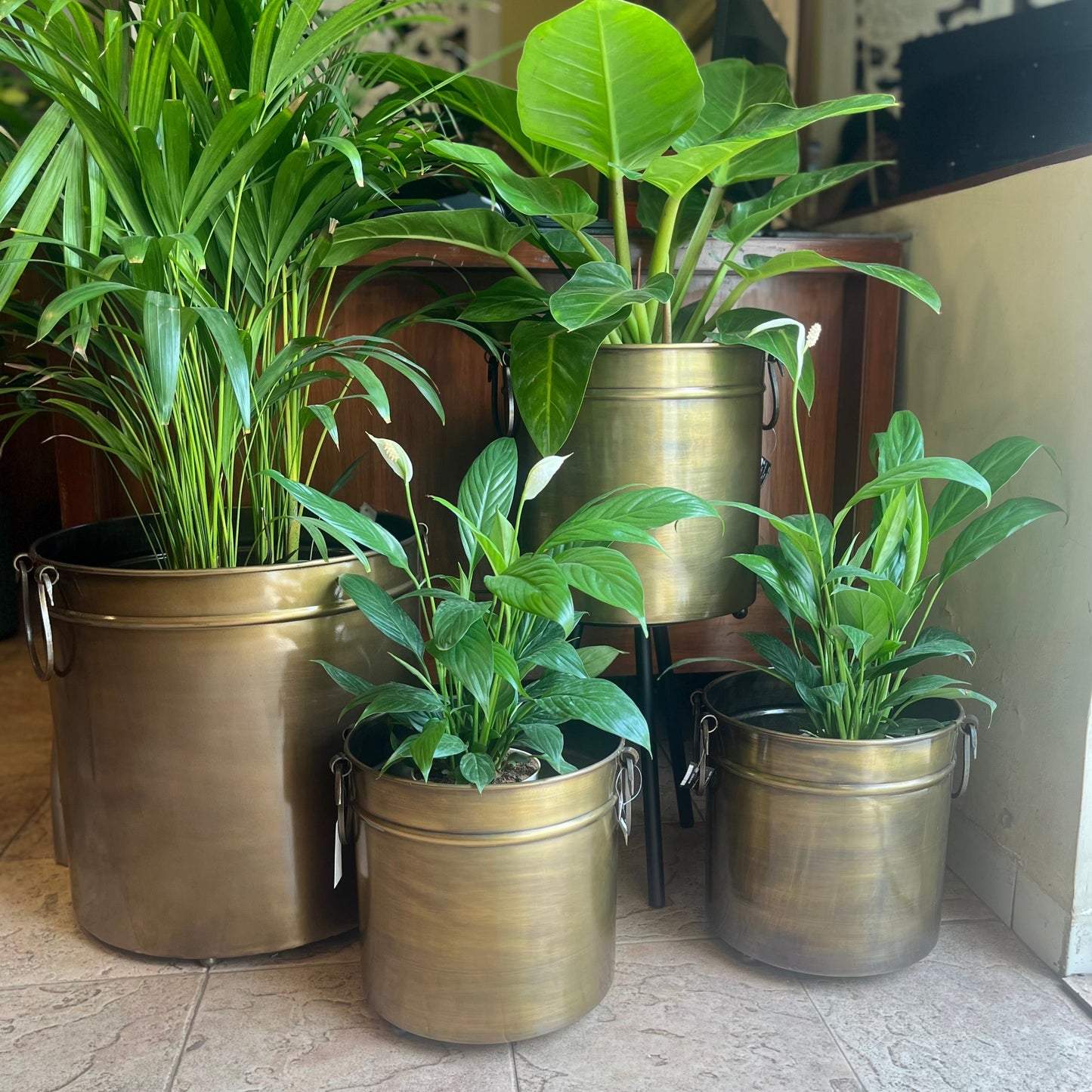 Big Brass Planter