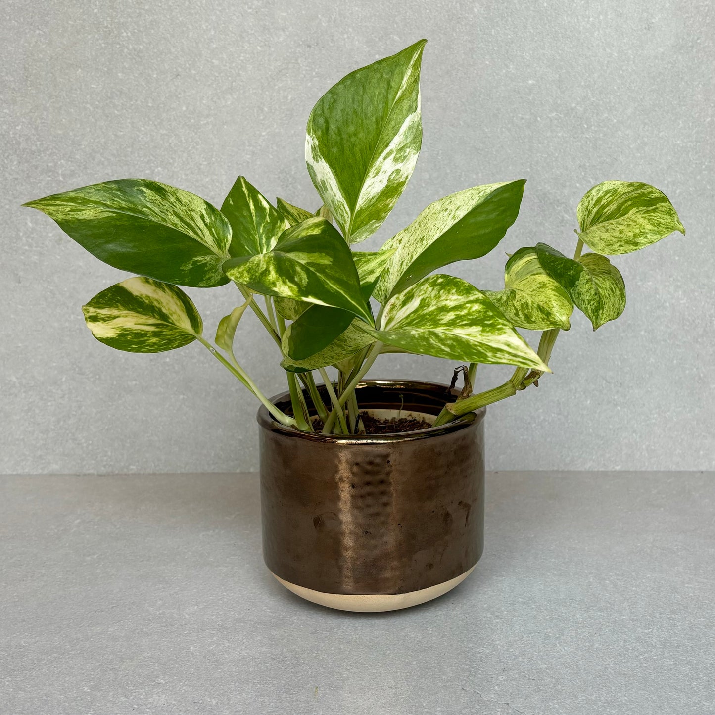 Ceramic Small Copper Planter