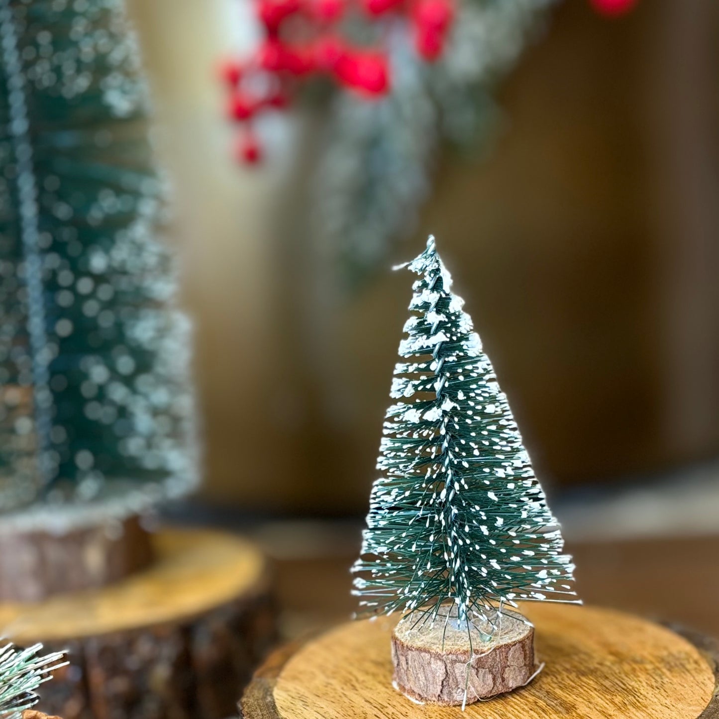 Christmas Decoration-Miniature Christmas Tree Set of 2