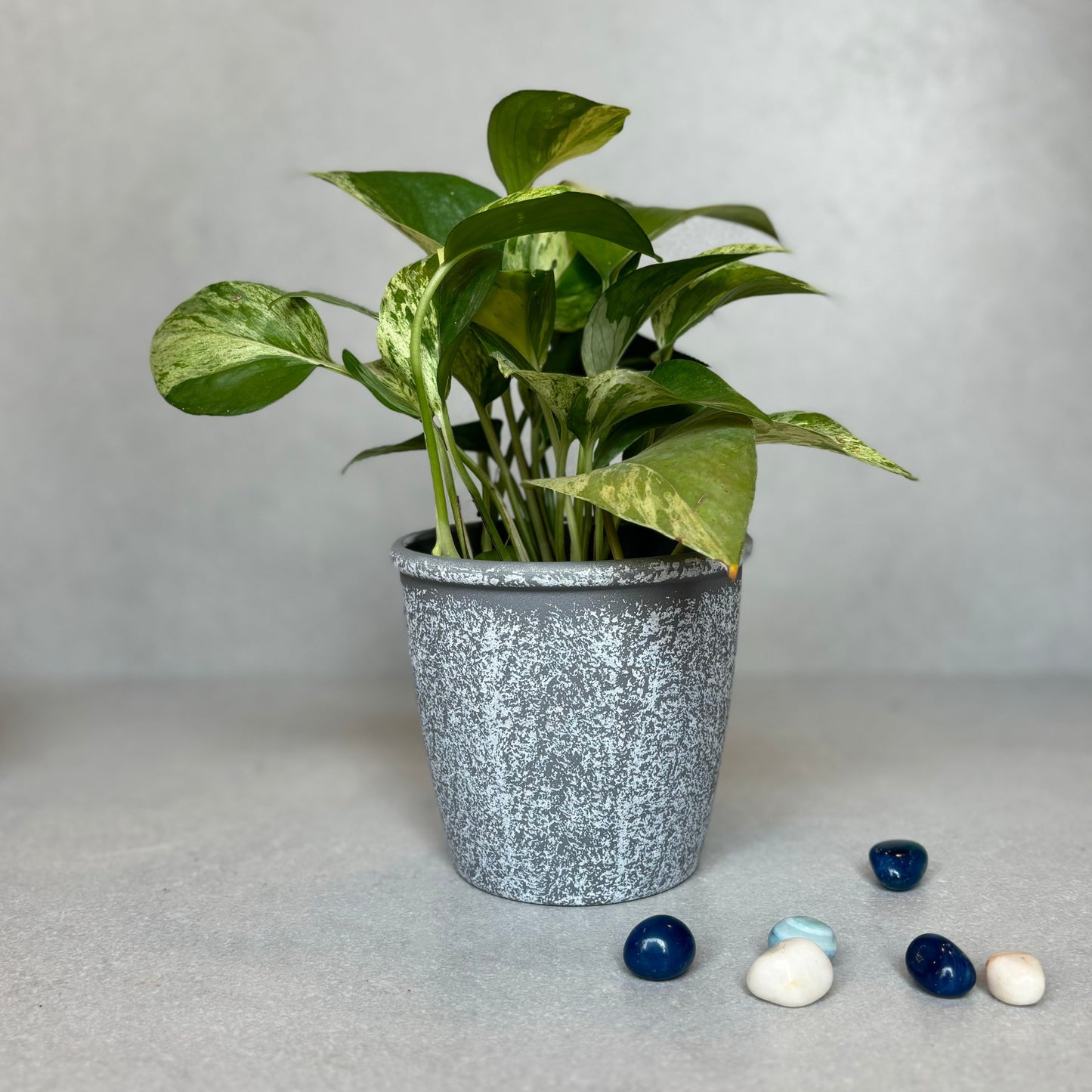 Rustic Grey Planter