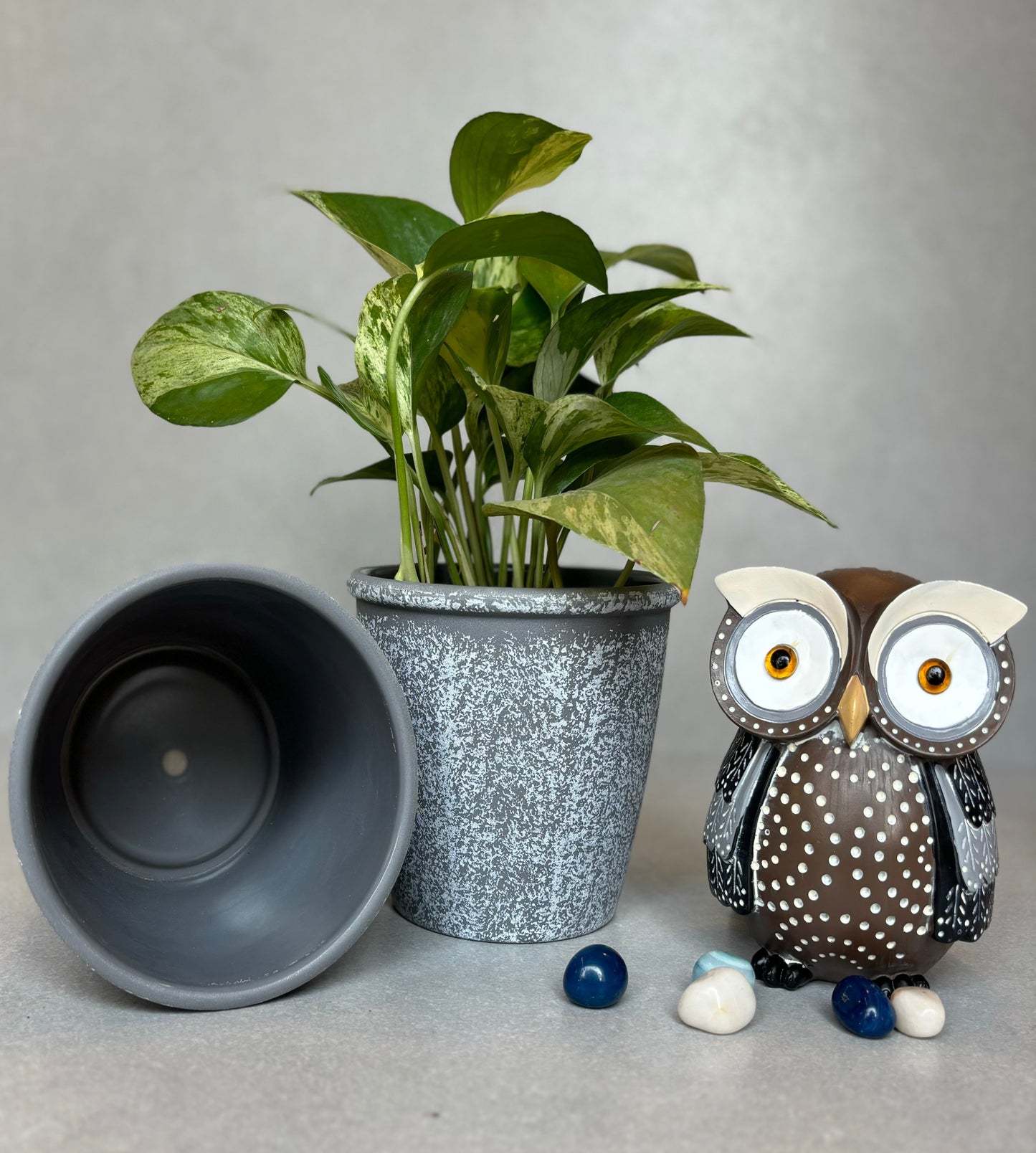 Rustic Grey Planter