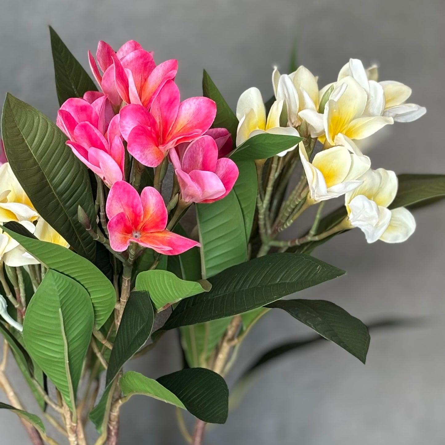 Artificial Frangipani Stem - White