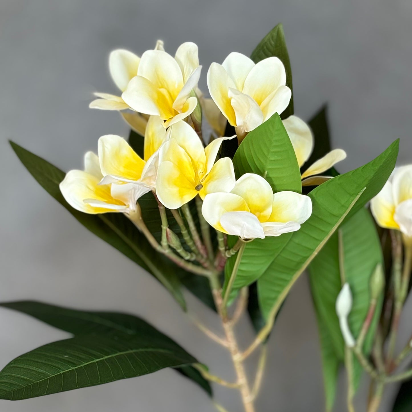 Artificial Frangipani Stem - White