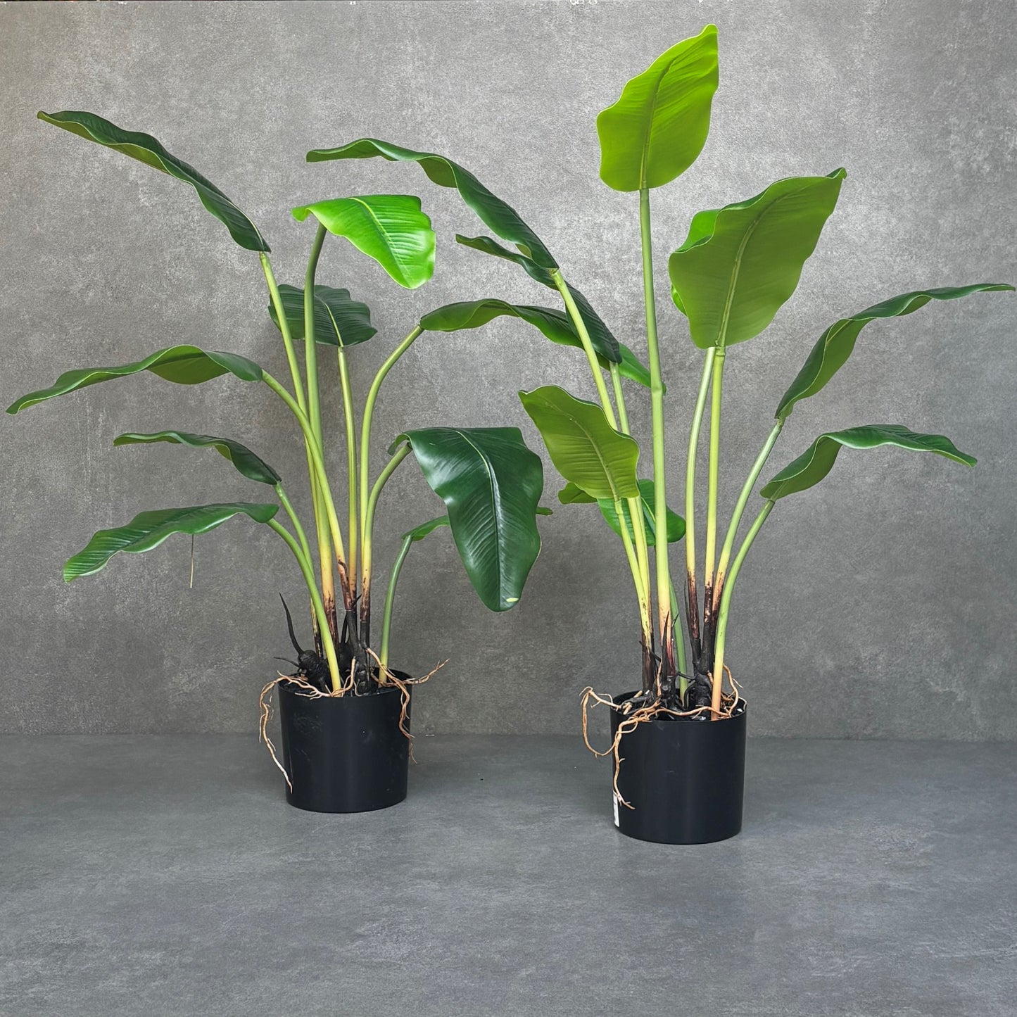 Artificial Banana Leaf Potted Plant