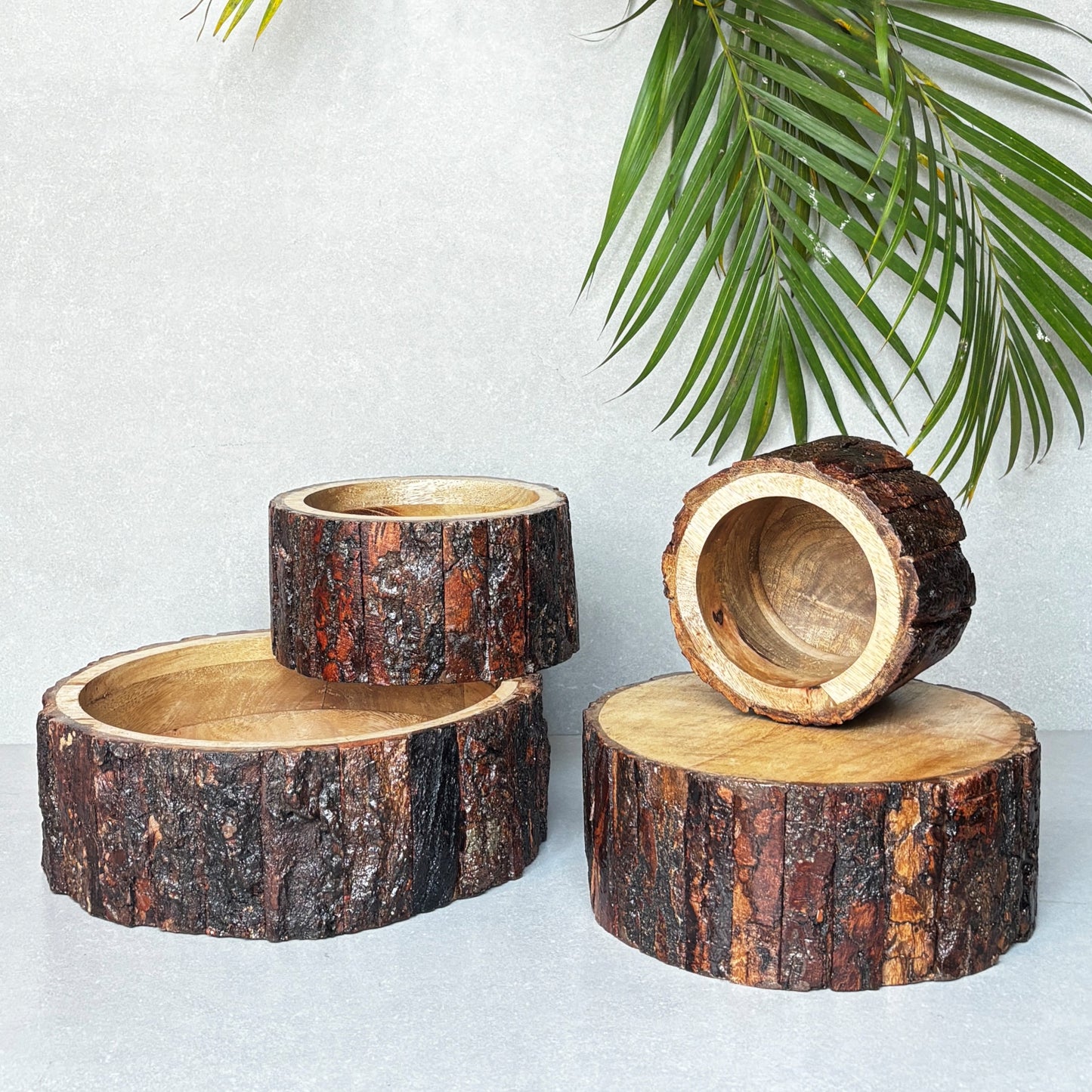 Drift Wood Planter/ Display Base