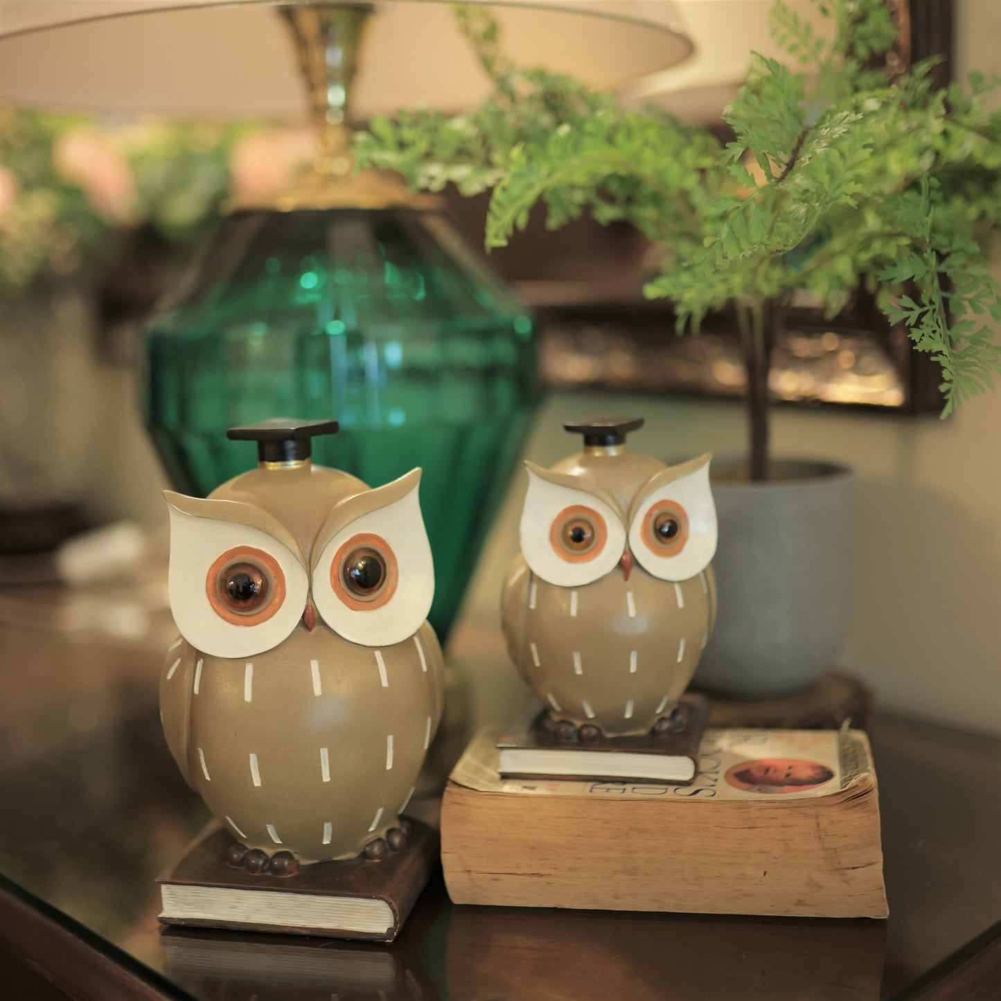 LLB Owls set of 2