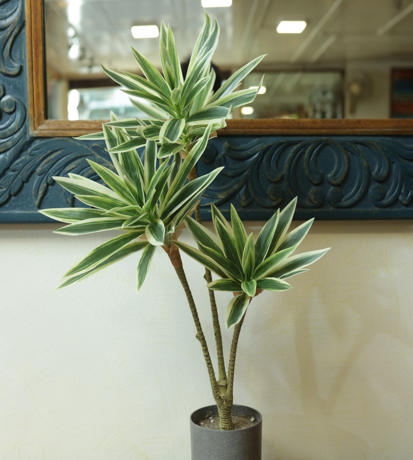 Artificial Song Of India Plant
