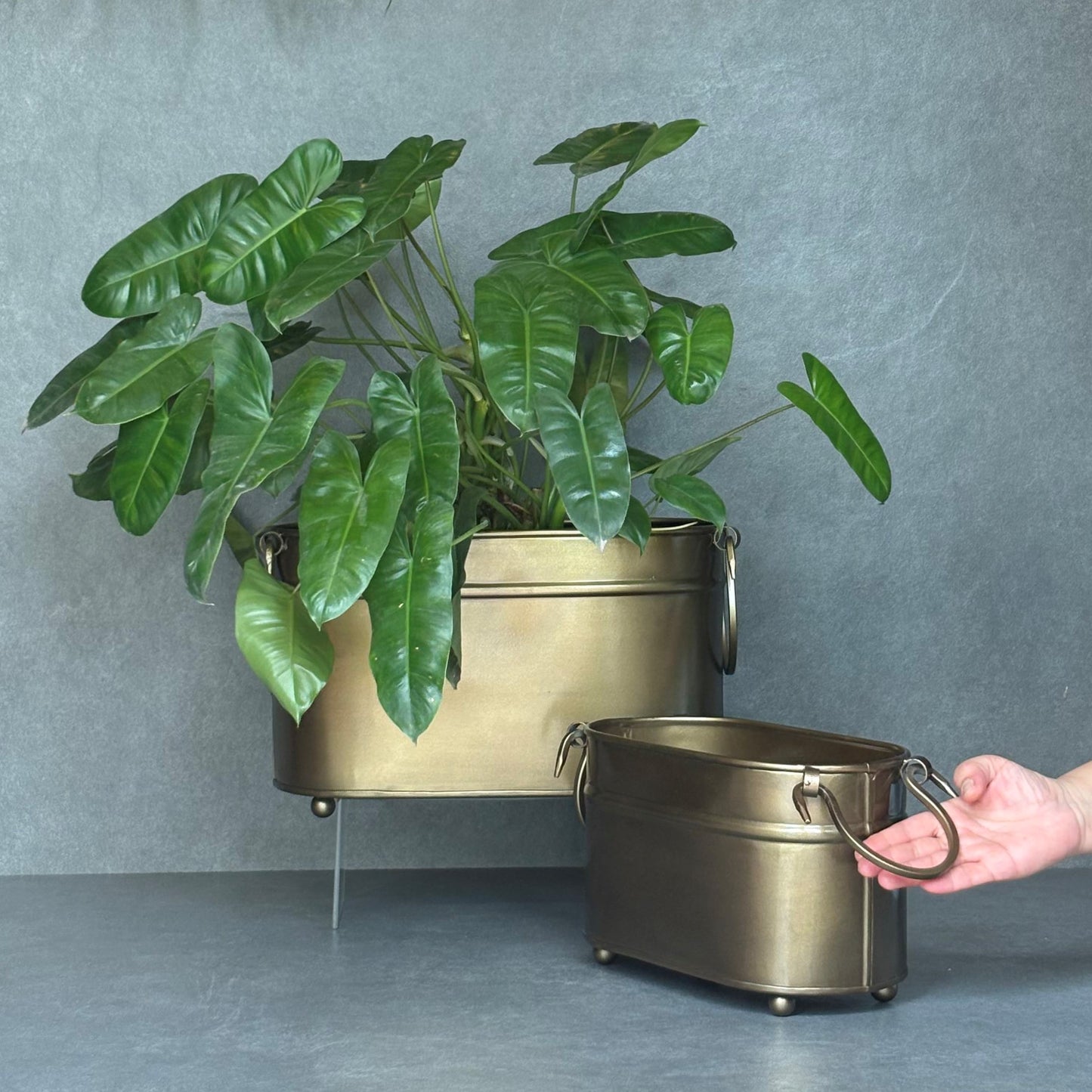 Vintage Brass Rectangular Planter