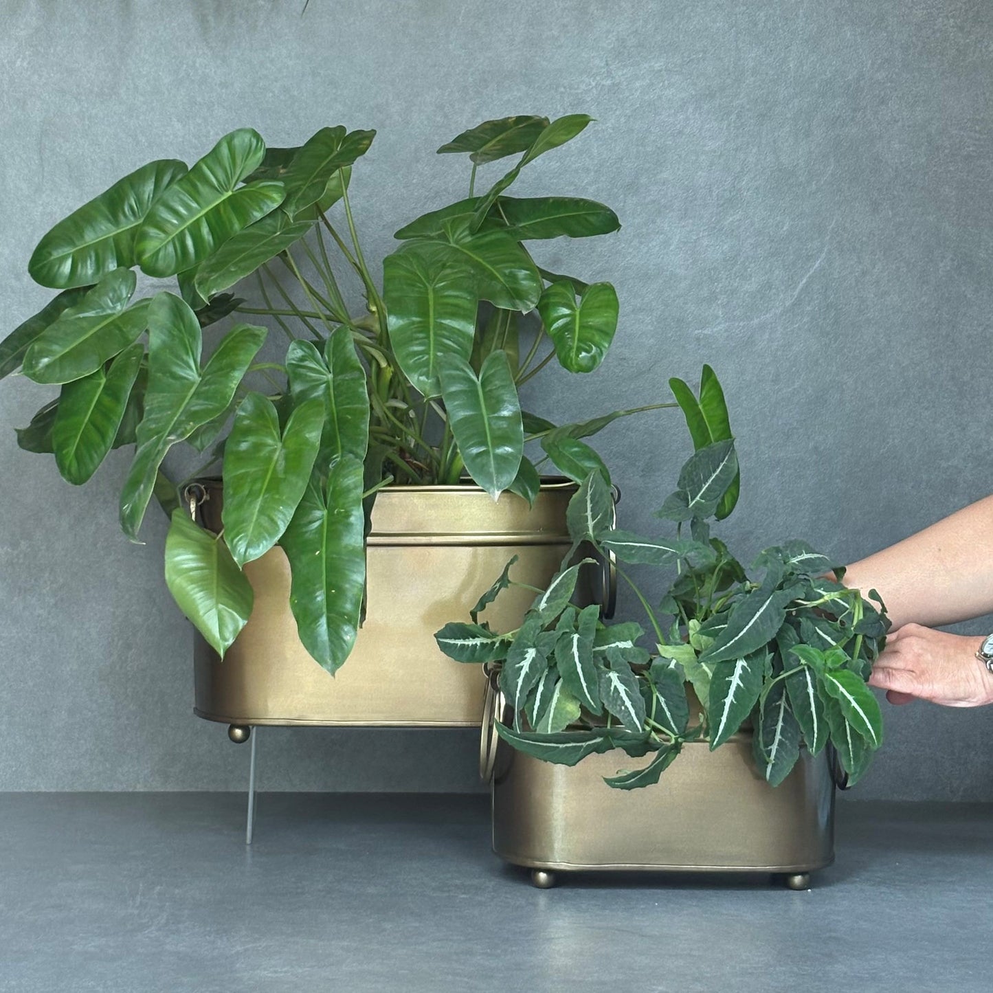 Vintage Brass Rectangular Planter