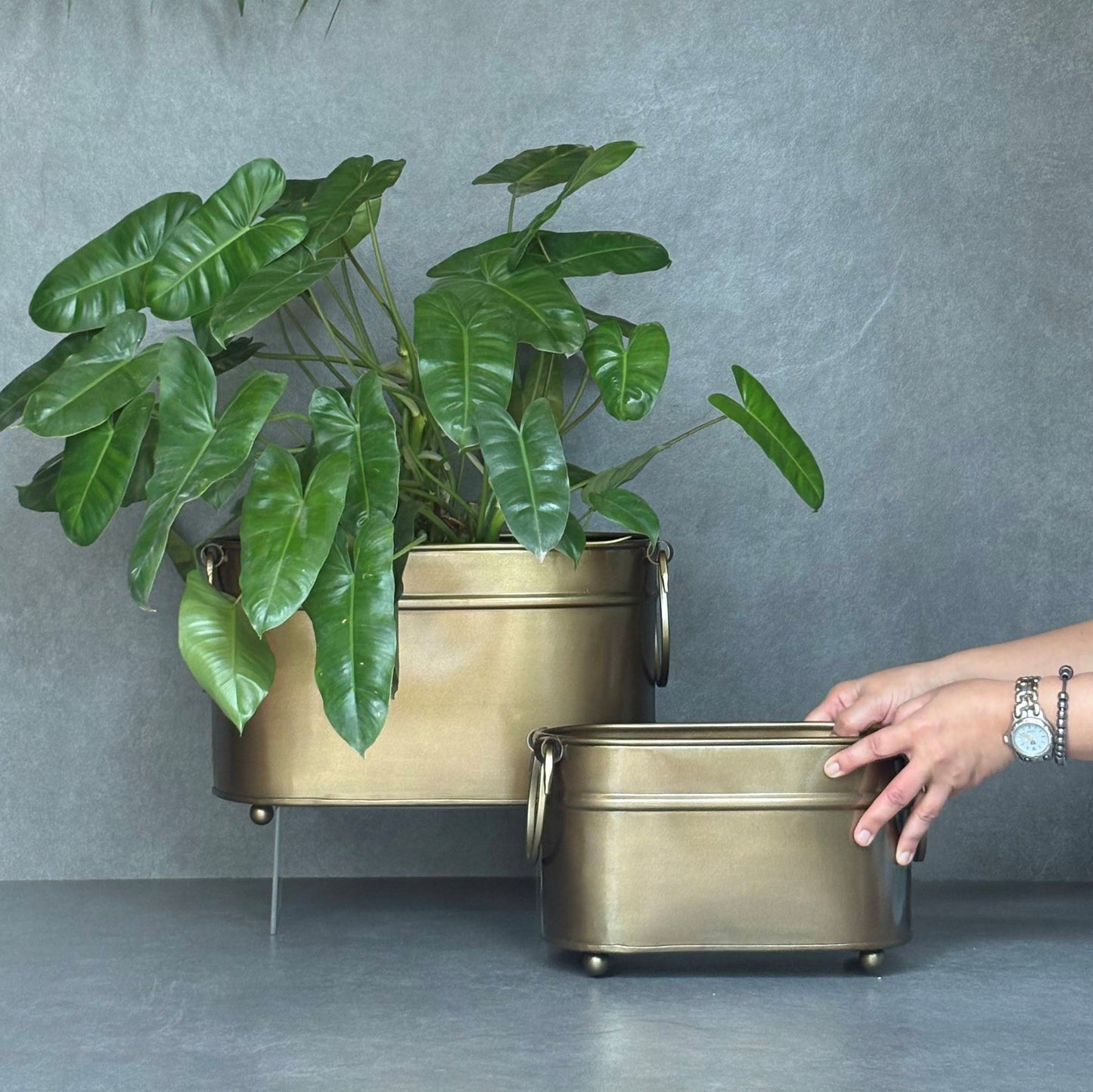 Vintage Brass Rectangular Planter