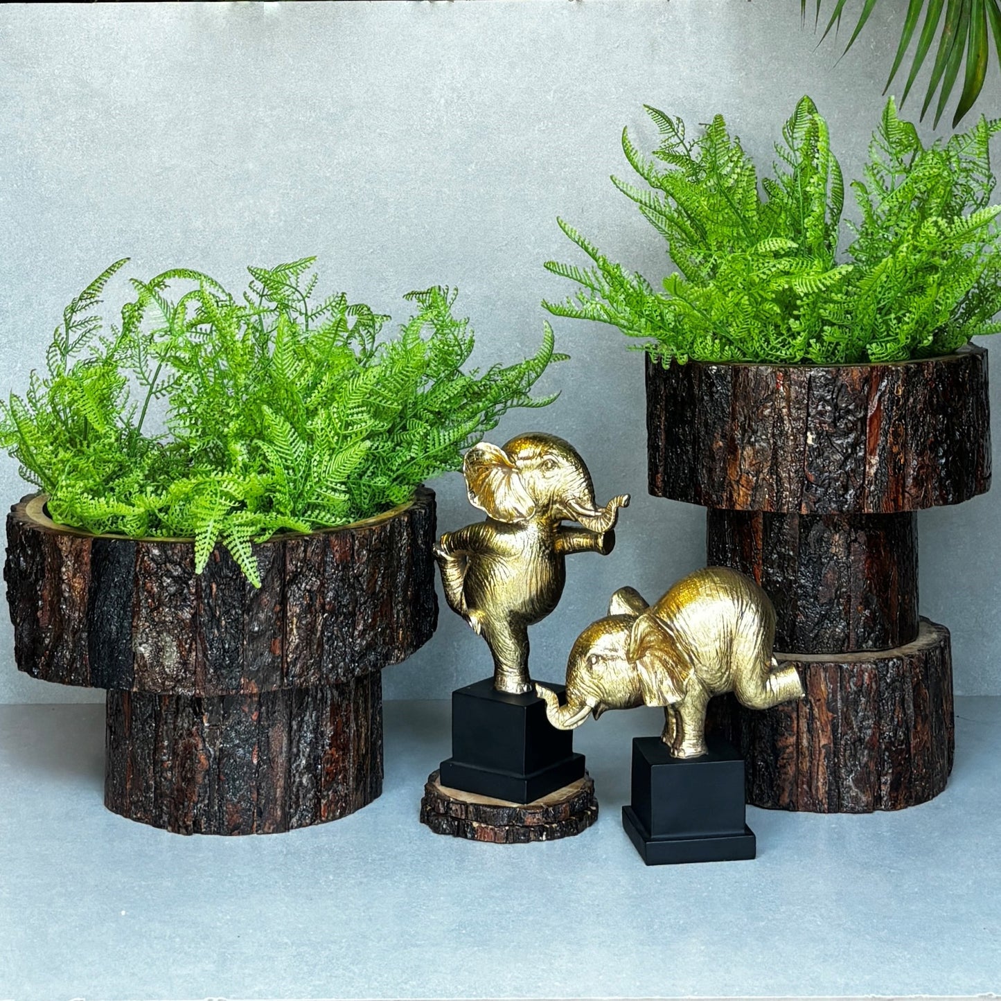 Drift Wood Planter/ Display Base