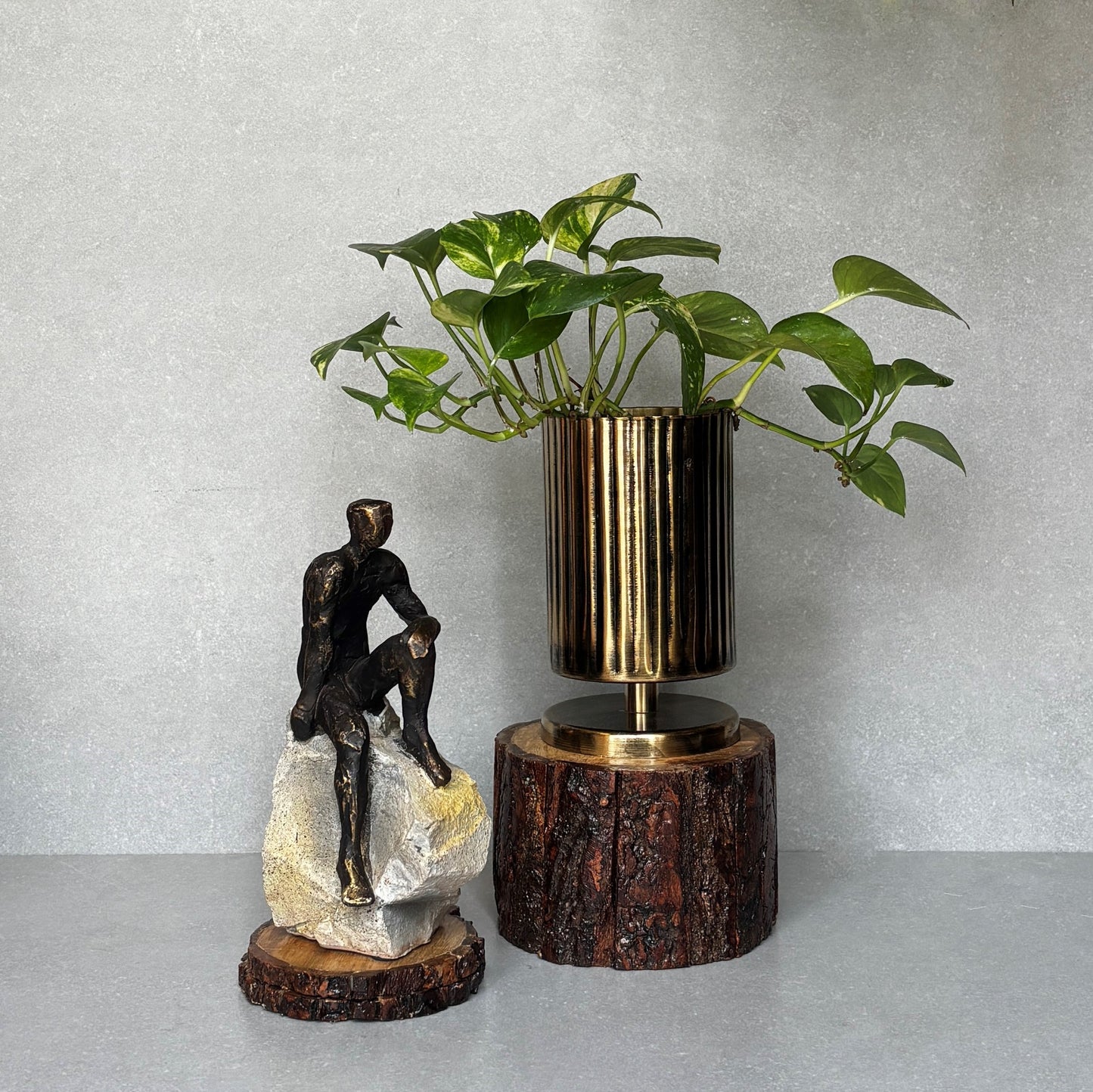 Drift Wood Planter/ Display Base