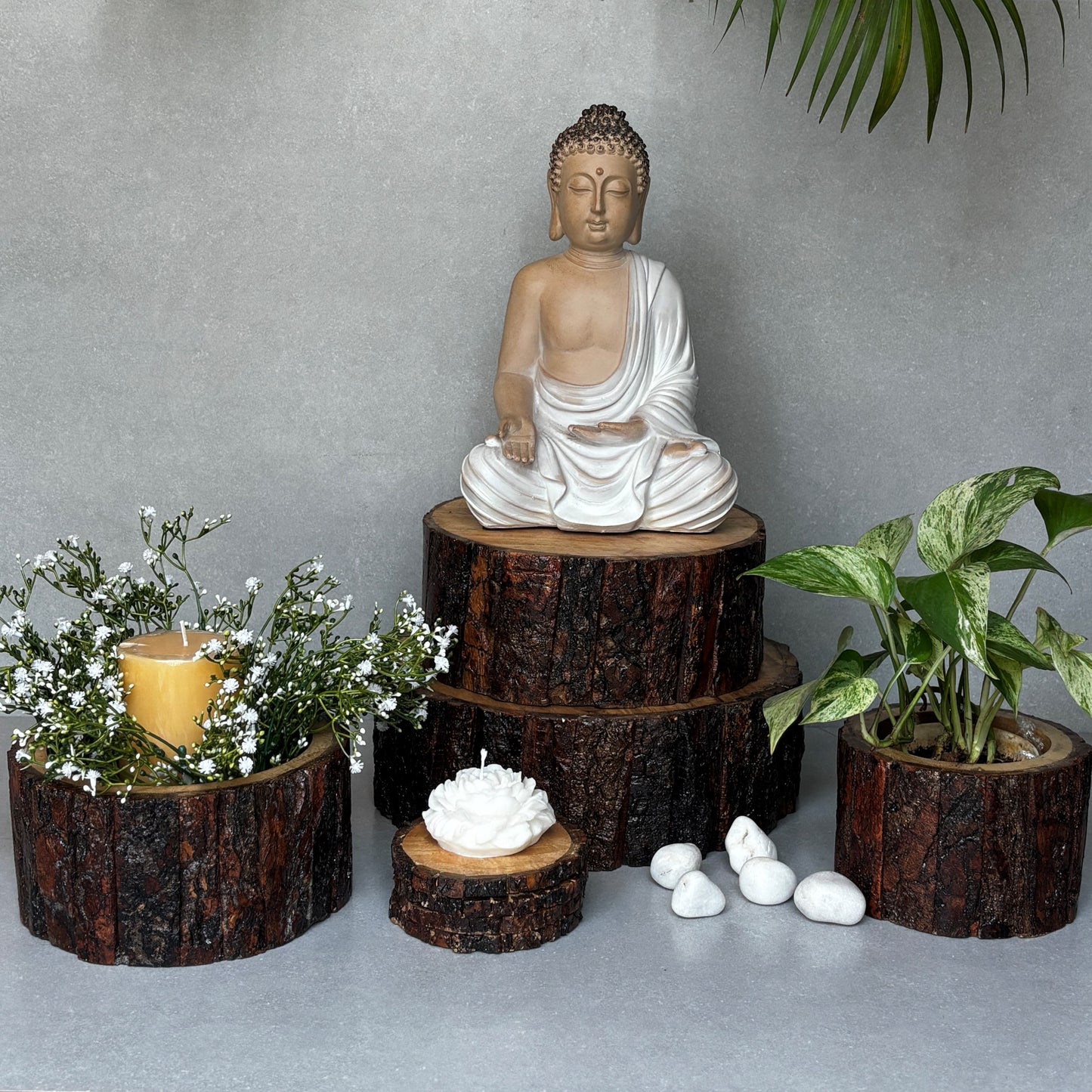 Drift Wood Planter/ Display Base
