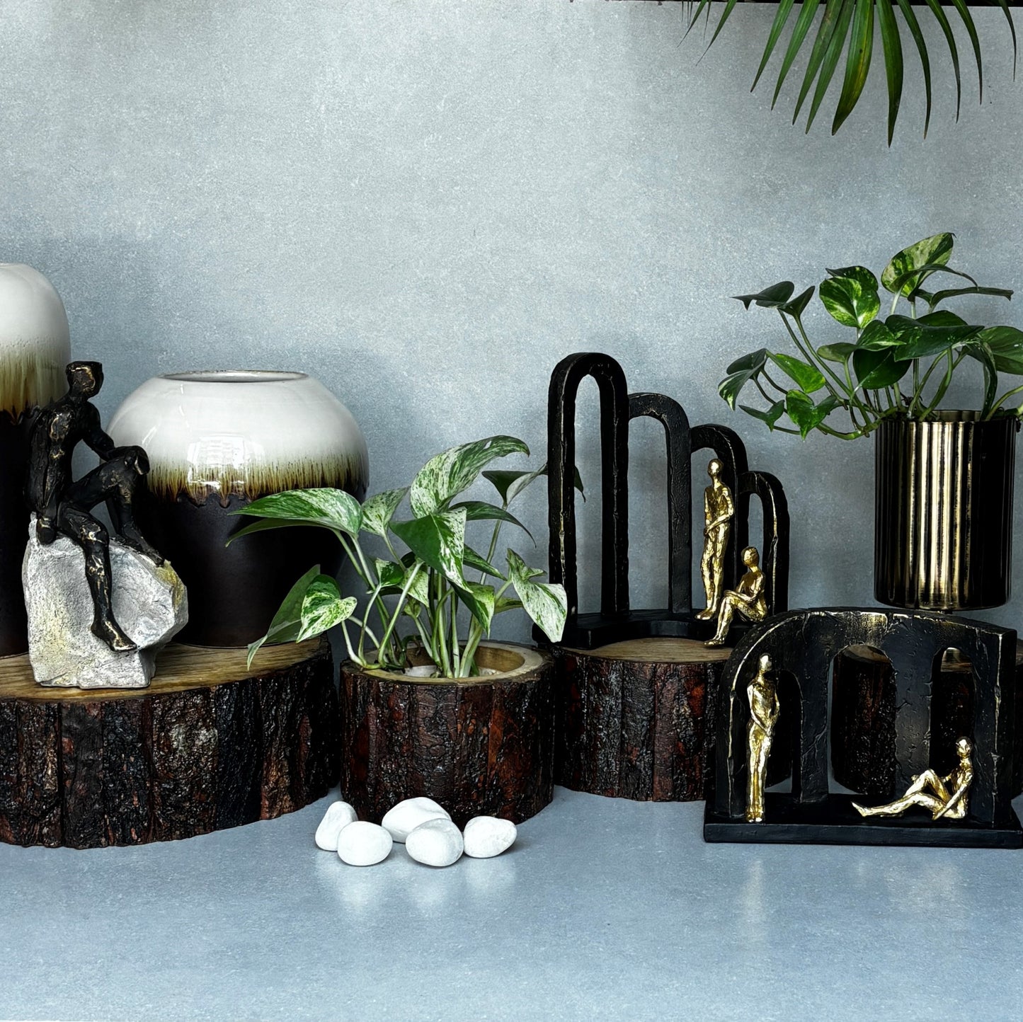 Drift Wood Planter/ Display Base