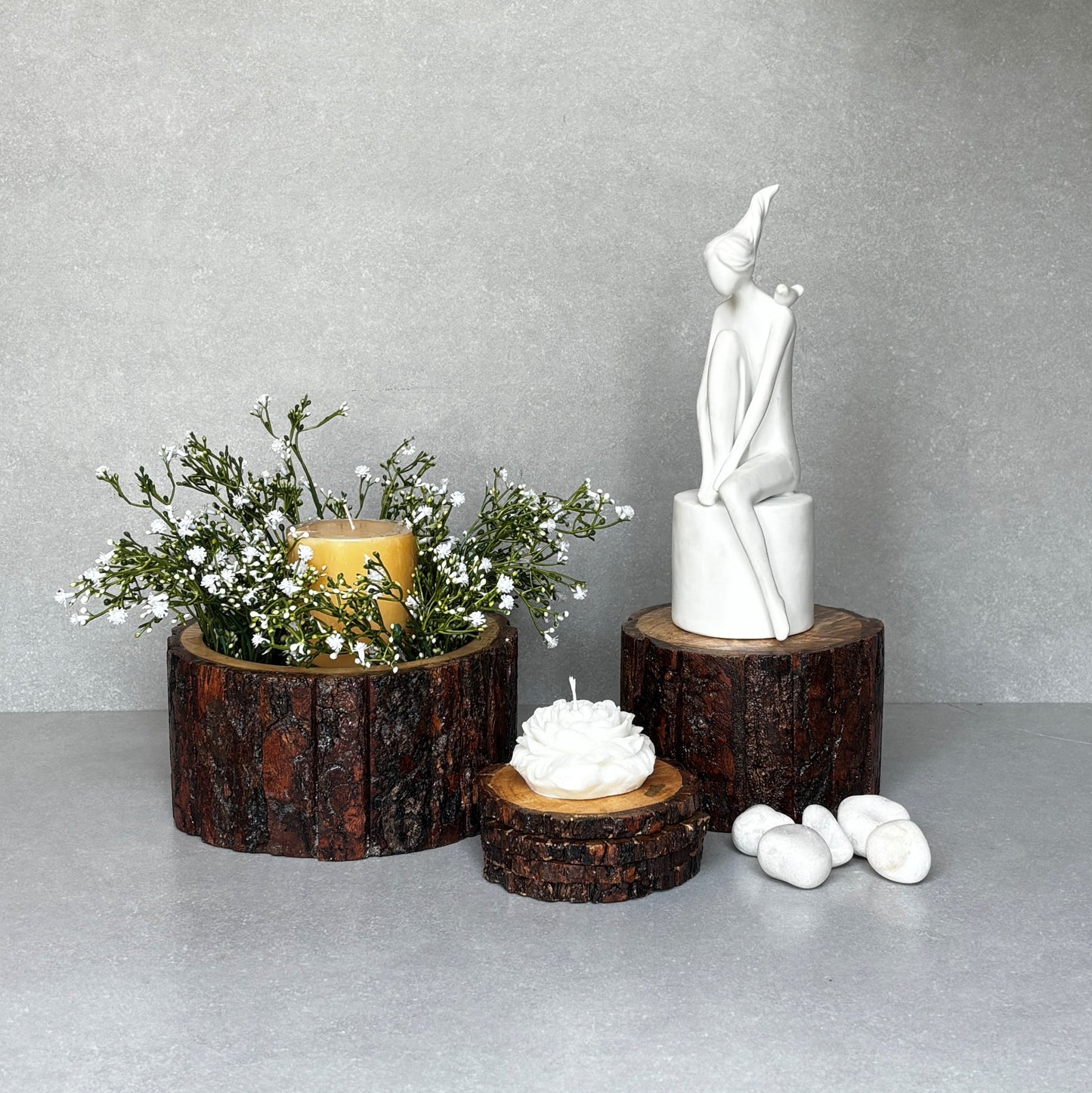 Drift Wood Planter/ Display Base