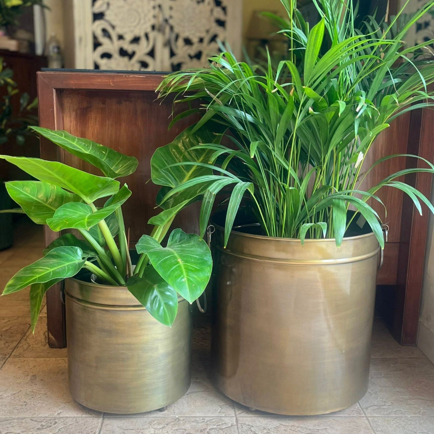 Big Brass Planter