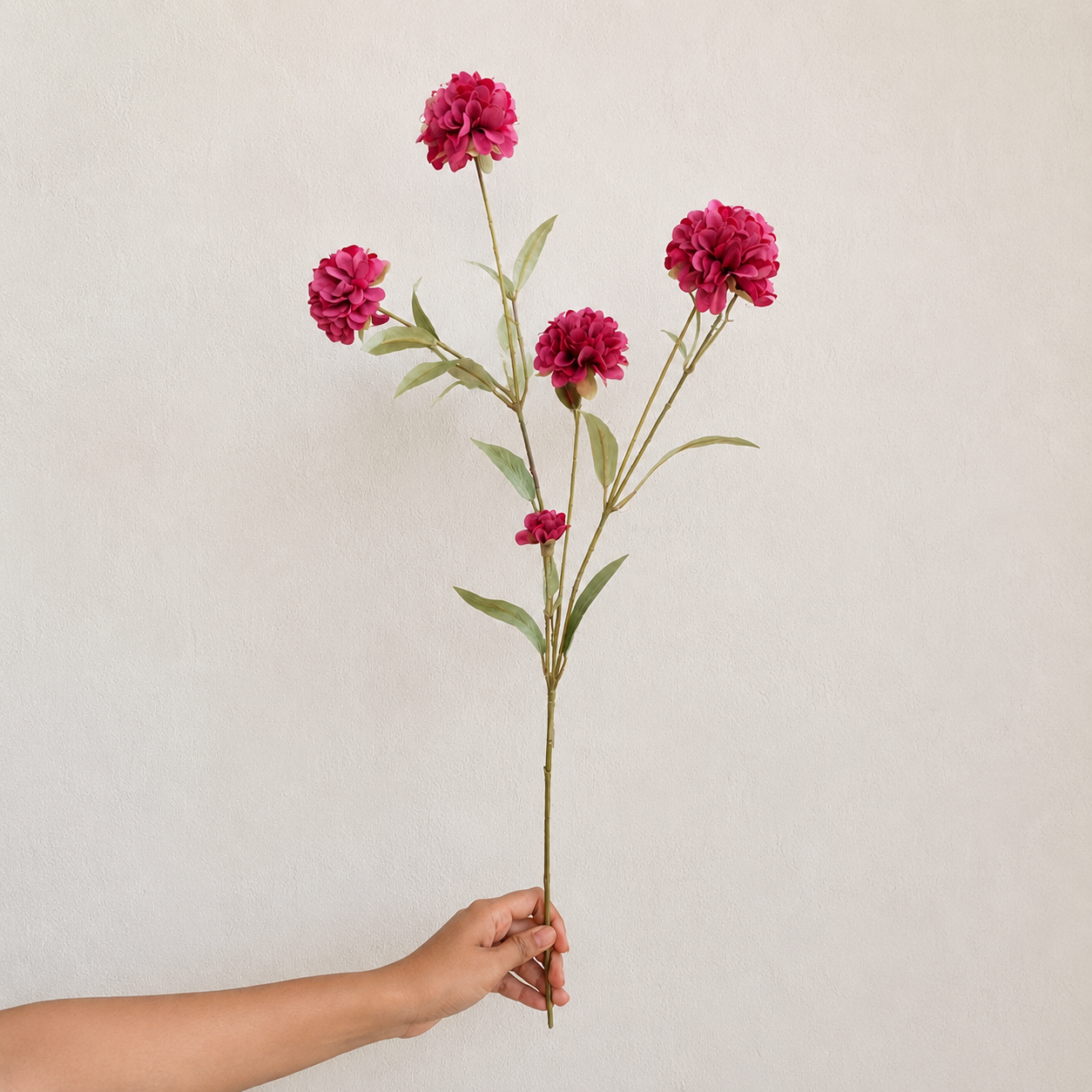 Woman’s hand holding a single artificial pink dahlia stem with multiple blooms against a plain off-white wall, showcasing the full size, shape, and floral details in natural daylight.