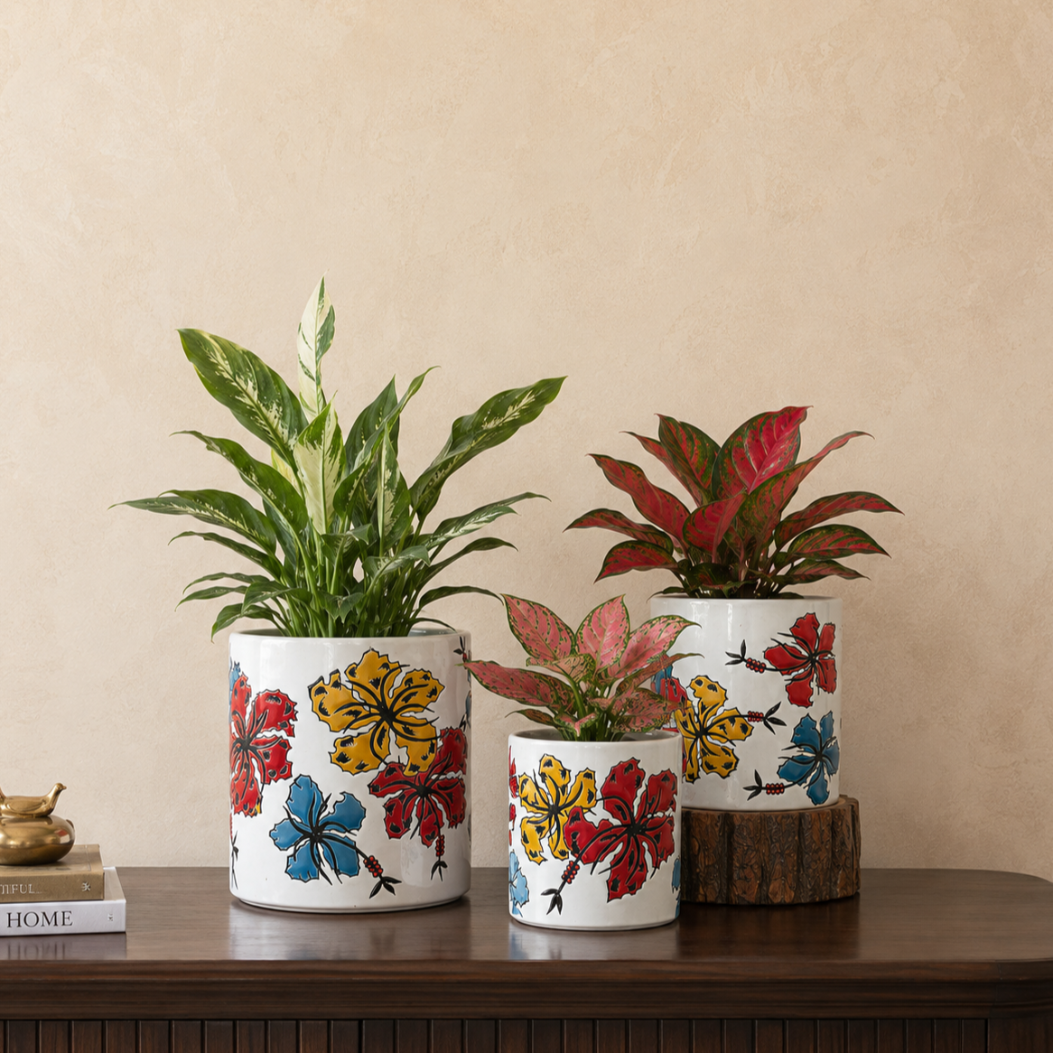 Hand-painted floral ceramic planter set with Peace Lily, Pink Aglaonema, and Red Aglaonema plants styled in a luxury home interior.