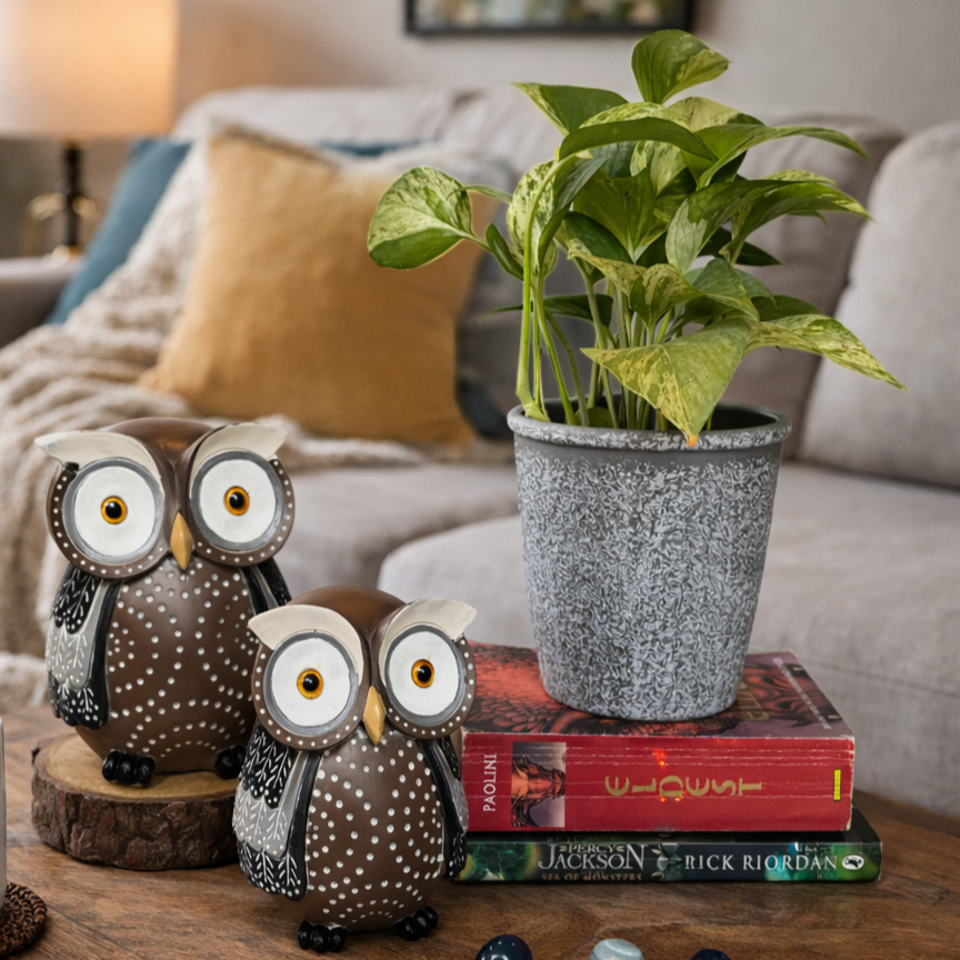 Rustic Grey Planter – alternate angle | INARA