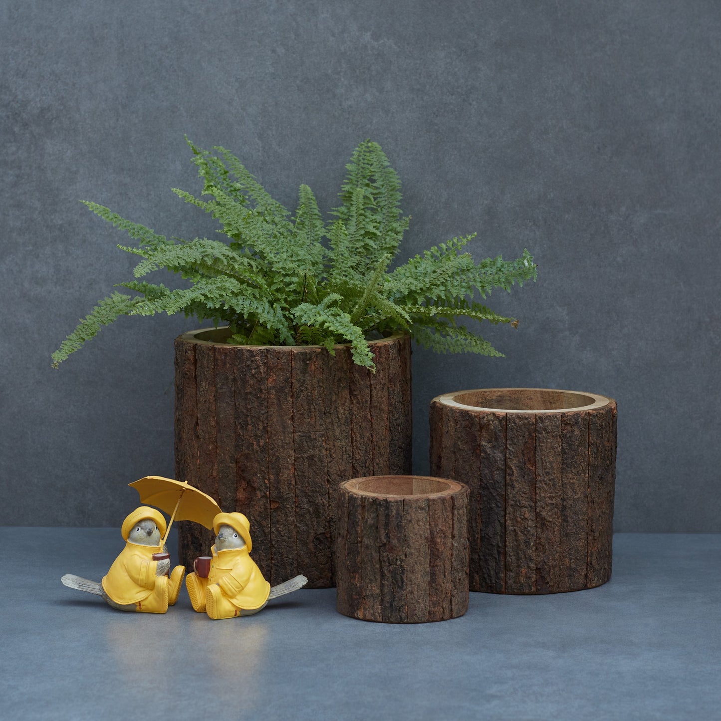 Wooden Bark Planter/ Base