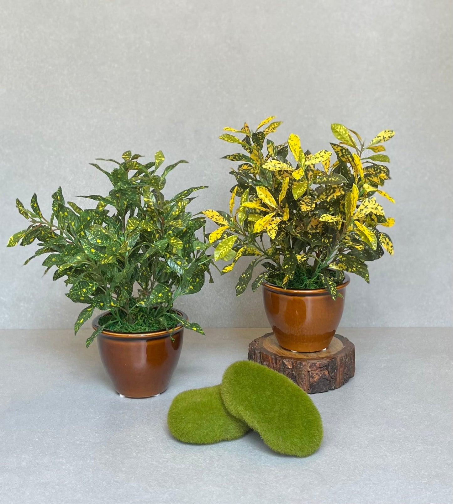 Artificial Croton Ceramic Pot