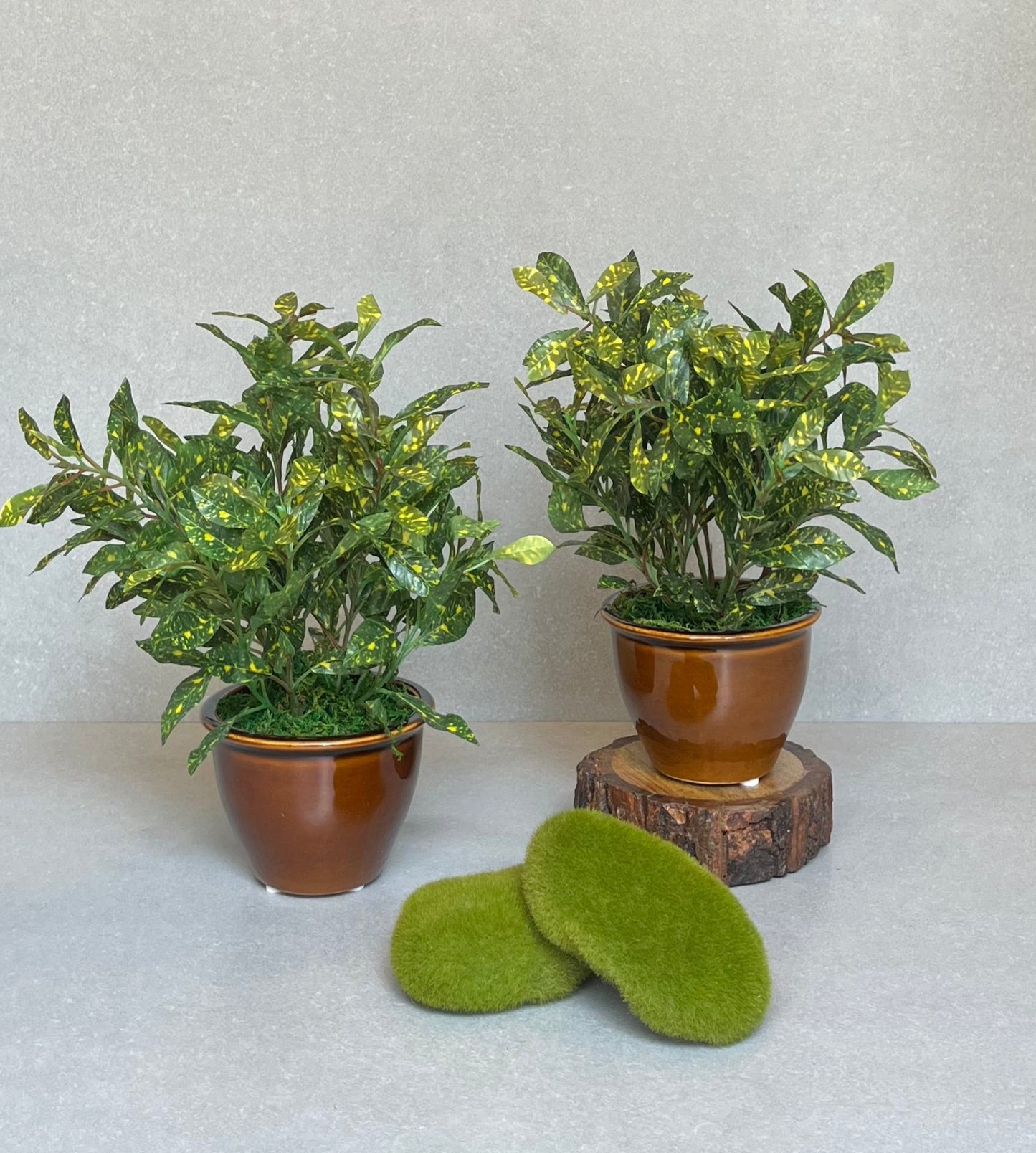 Artificial Croton Ceramic Pot