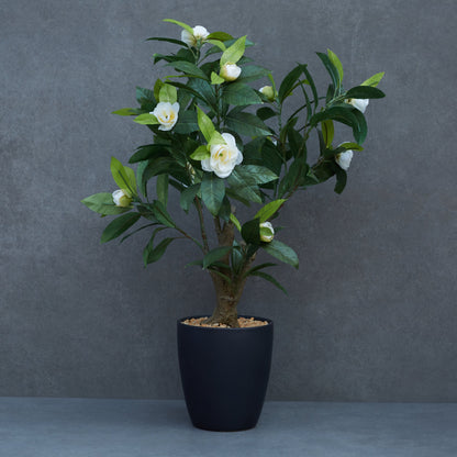 Artificial Camelia Plant With Ceramic Pot