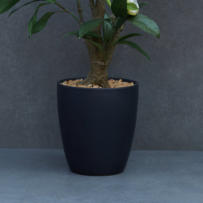 Artificial Camelia Plant With Ceramic Pot