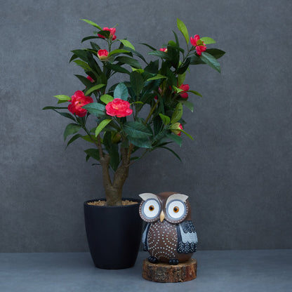 Artificial Camelia Plant With Ceramic Pot