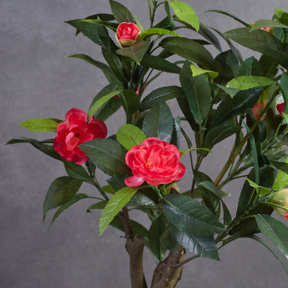 Artificial Camelia Plant With Ceramic Pot