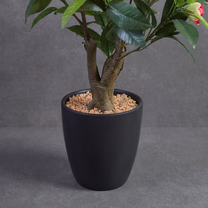 Artificial Camelia Plant With Ceramic Pot