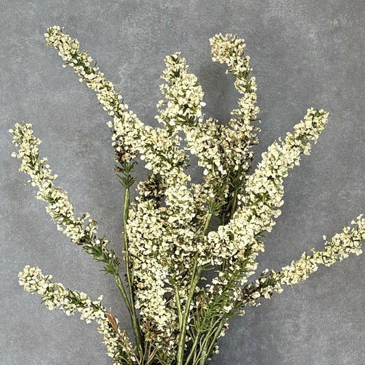 Artificial Amaranthus Stem - White