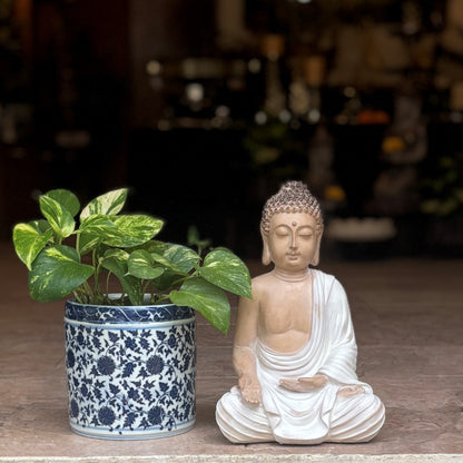 Serene Sitting Buddha Sculpture