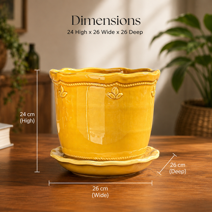 Mustard Glow Ceramic Planter With Plate