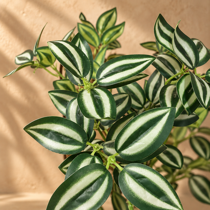 Artificial Spider Plant Bunch