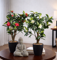 Artificial Camelia Plant With Ceramic Pot