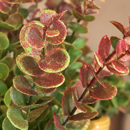 Artificial Dual-Tone Eucalyptus Leaf Bunch