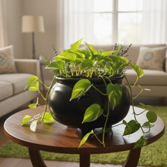 Black Round Footed Ceramic Handi Planter