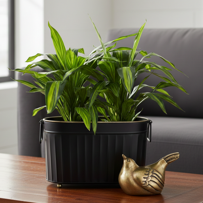 Artificial Dracaena Potted Plant
