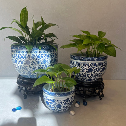 Blue And White Porcelain Planter