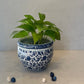 Blue & White Porcelain Planter