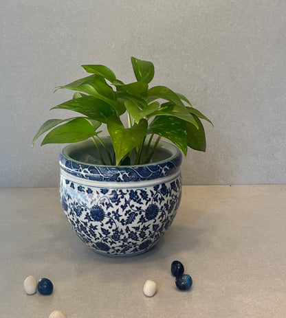 Blue And White Porcelain Planter