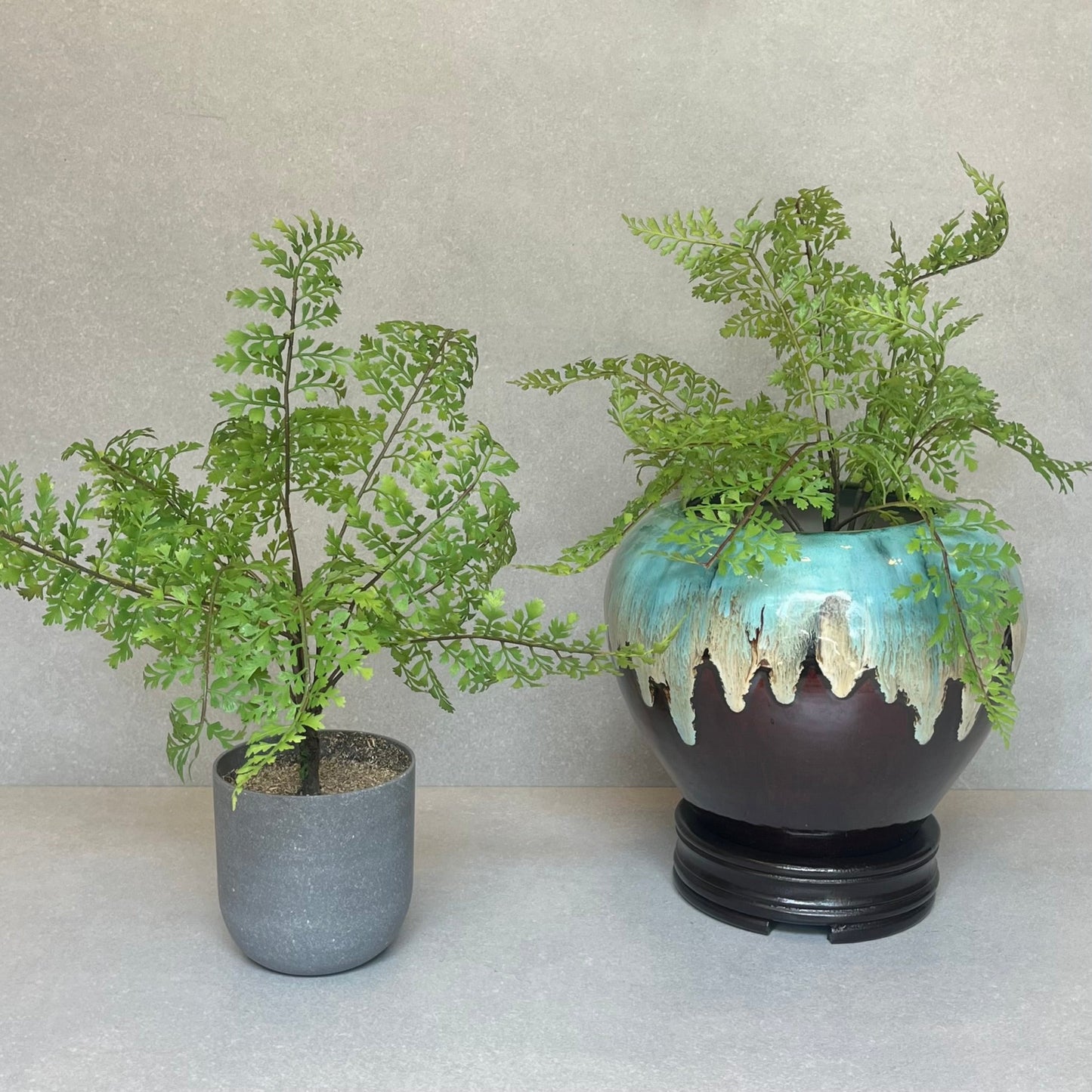 Artificial Fern Potted Plant