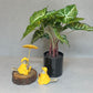 Artificial Philodendron Potted Plant