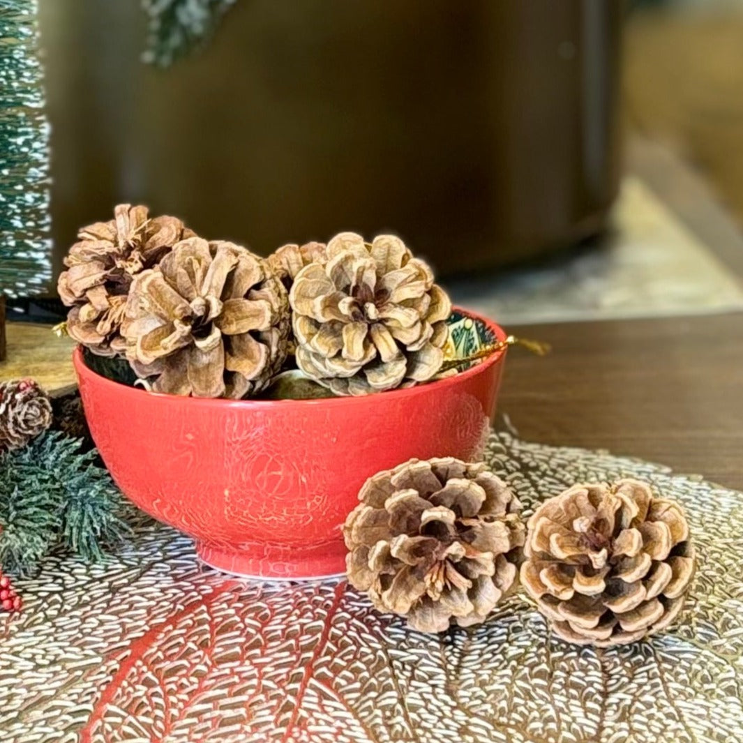 Christmas Ornaments -Pine Cone Hanging Pack of 6