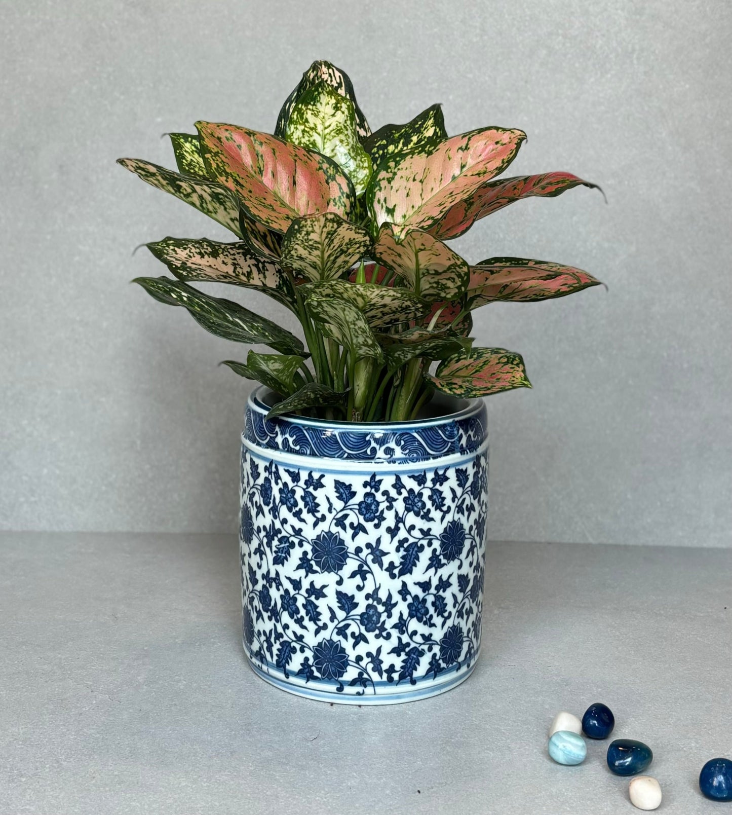 Blue & White Porcelain Cylindrical Pot