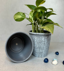 Rustic Grey Planter