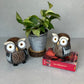 Decorative Owl - Set of 2